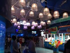 -烟台海昌鲸鲨海洋公园