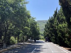 -养马岛旅游度假区