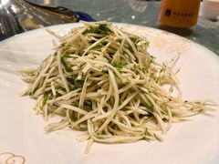 茴香苗拌茭白-蒙古大营·蒙古演绎餐厅(赛马场店)