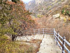 -黑龙潭风景区
