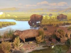 -陕西自然博物馆