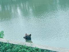 -上海野生动物园