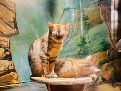 -绿色星球动物主题公园