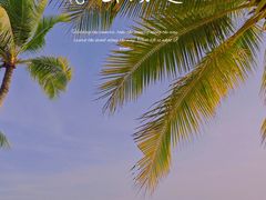 -海角轩·三亚文华东方酒店