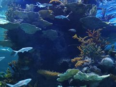 -多彩贵州城极地海洋世界