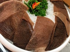 -君邦火锅(新疆大厦店)