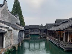 -乌镇西栅景区