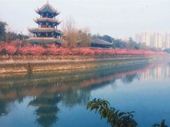-望江楼公园