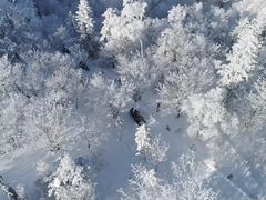 -塞罕坝国家级自然保护区