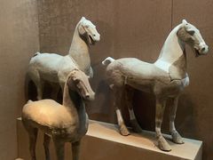 -烟台市博物馆