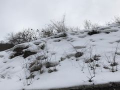 -太子岭滑雪场