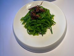 -月芽·自由餐厅·西溪湿地餐厅