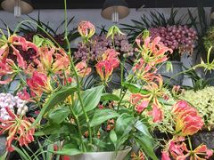 -双季花艺园艺市场(浦东店)