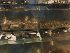 水产区-小郭私房菜·海肠捞饭店(学士街店)