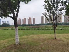 -映月湖中央公园