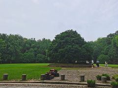 -灵谷景区
