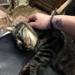 -游刃刺青TATTOO纹身工作室