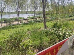 -西青郊野公园