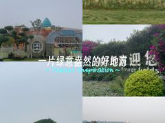 -空港花田景区