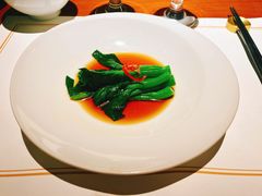 -觀芷隐轩