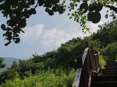 -北京十三陵国家森林公园蟒山景区