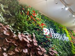 -Peet's Coffee皮爷咖啡(上海长风大悦城店)