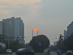 -长田漾湿地公园