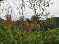 -香山公园-东宫门售票处