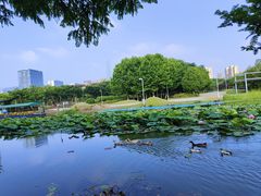 -白塘生态植物园
