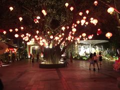 -河内西湖莲花自助餐厅
