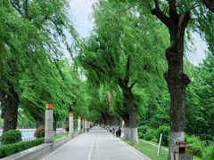 -长春市南湖公园