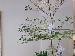 -fishtank鱼缸咖啡(三山街店)
