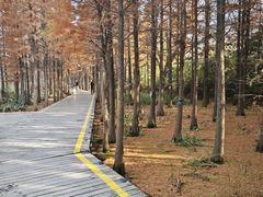 -云龙湖旅游景区