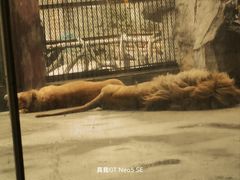 -南昌动物园