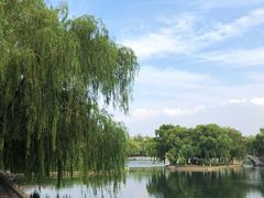 -百脉泉景区