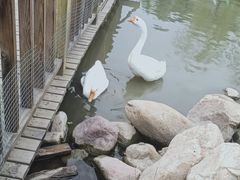 -河北村民俗体验园