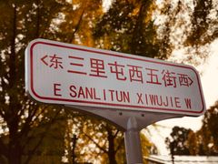-三里屯东五街银杏大道