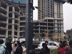 -华西坝(地铁站)