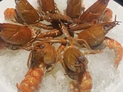 -红盔甲·小龙虾(长寿路店)