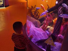 -沈阳海洋探索中心