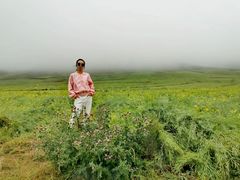 -扁都口生态休闲旅游区