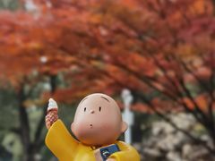 -中山公园(石岐街道)