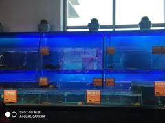 水产区-眉州东坡(博雅店)