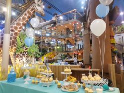 -卡通尼·Safari非洲探索乐园·生日会(金桥国际商业广场店)