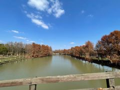 -上海海湾国家森林公园