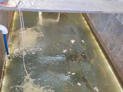 -食的禄山庄