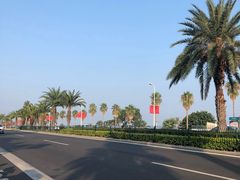 -黄金海岸环岛路