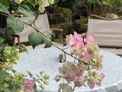 -谷咖啡·鲜花绿植花园餐厅
