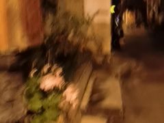 -大冰的小屋