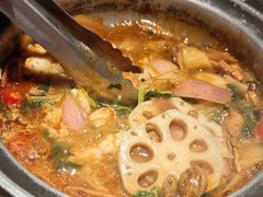 -禄婶鸡煲·打边炉